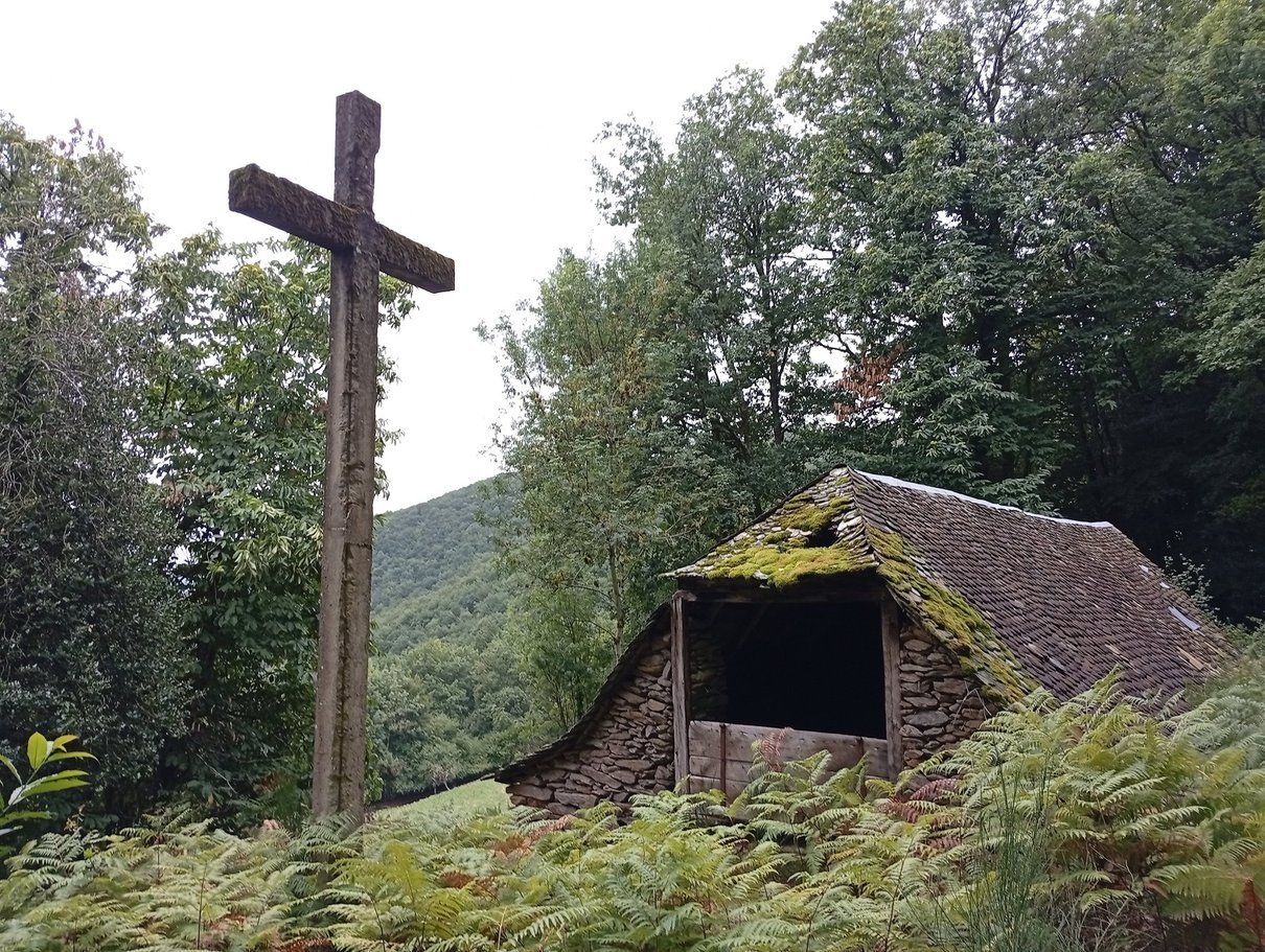 a6wf4N5jRbOA4TsZ2z80TQ